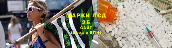 крисы Верея