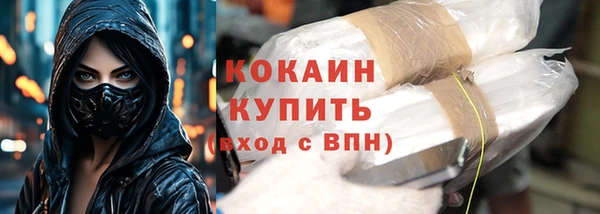 крисы Верея
