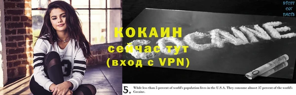крисы Верея