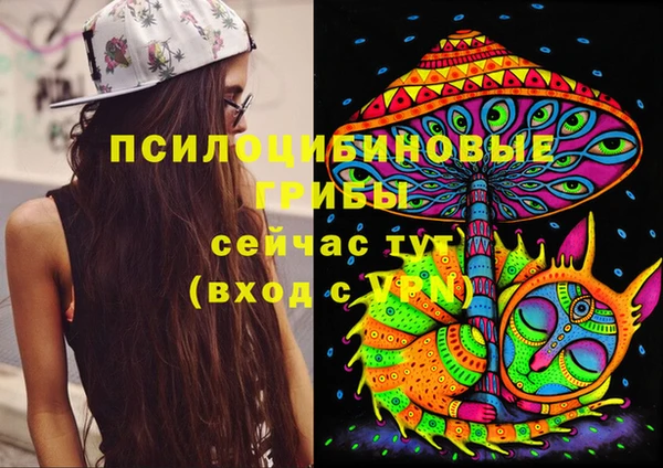 a pvp Верхний Тагил