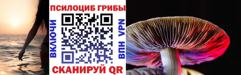 blacksprut рабочий сайт  Городец  Псилоцибиновые грибы Cubensis 